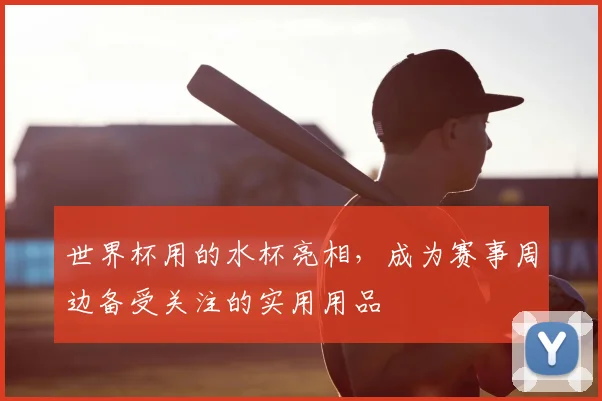 世界杯用的水杯亮相，成为赛事周边备受关注的实用用品