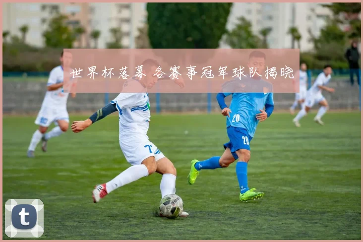 世界杯落幕 各赛事冠军球队揭晓