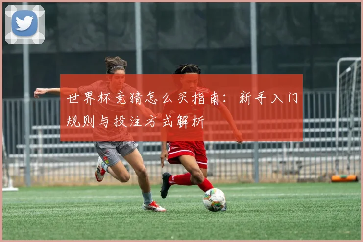 世界杯竞猜怎么买指南：新手入门规则与投注方式解析