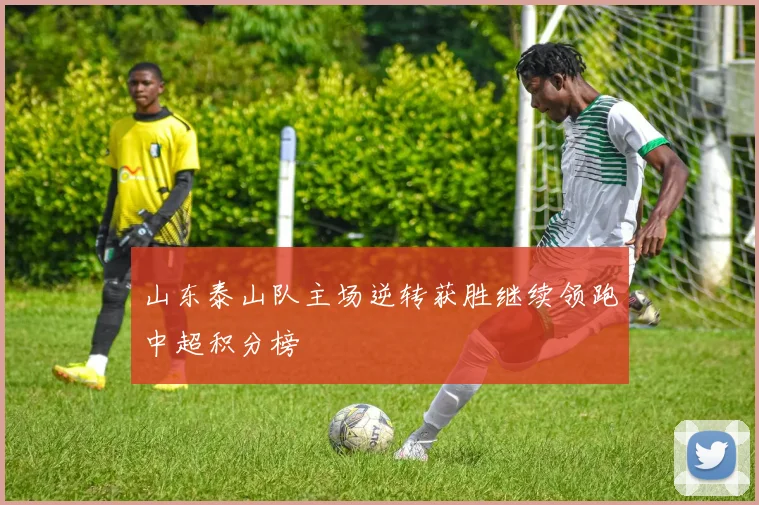 山东泰山队主场逆转获胜继续领跑中超积分榜